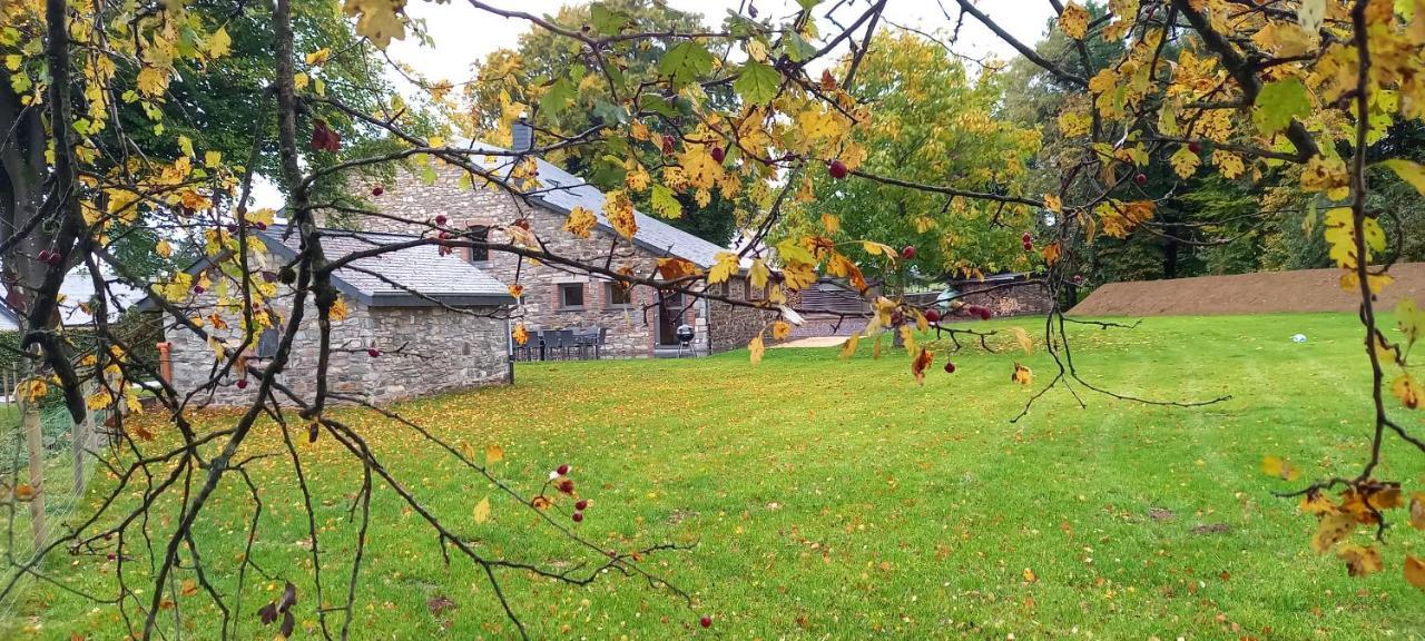 Les Highlands - Maison De Vacances Houffalize Eksteriør bilde